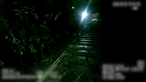 w1.jpg