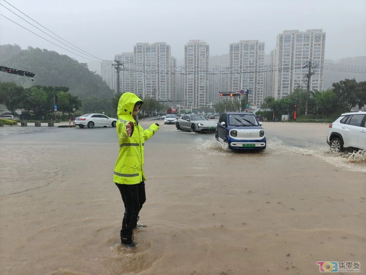 w24.jpg