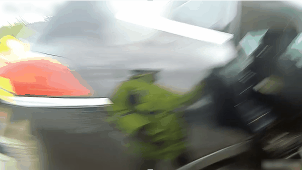 w41.jpg