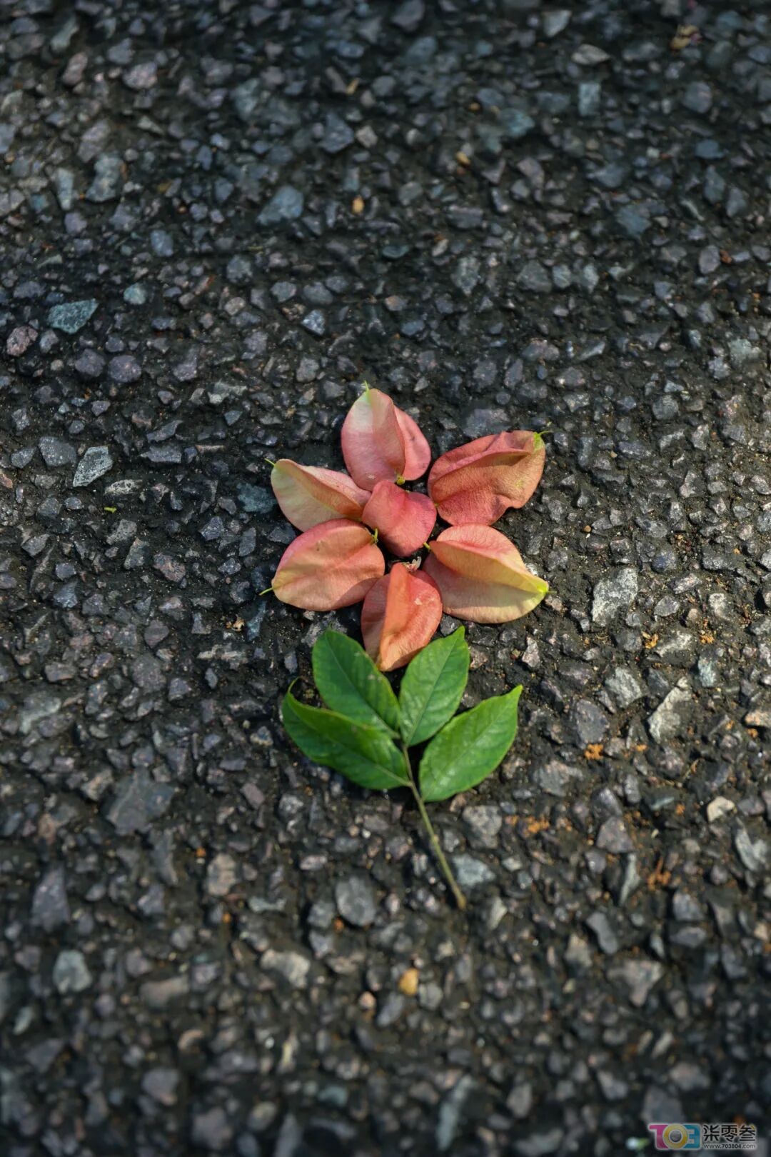 w10.jpg