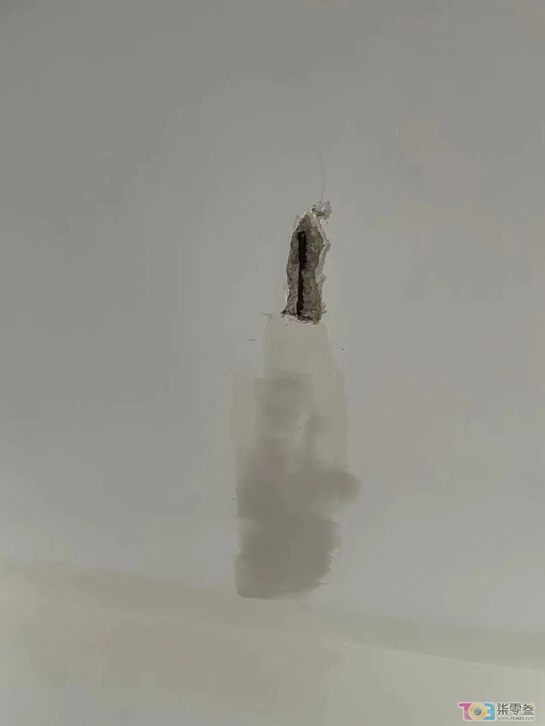 w5.jpg