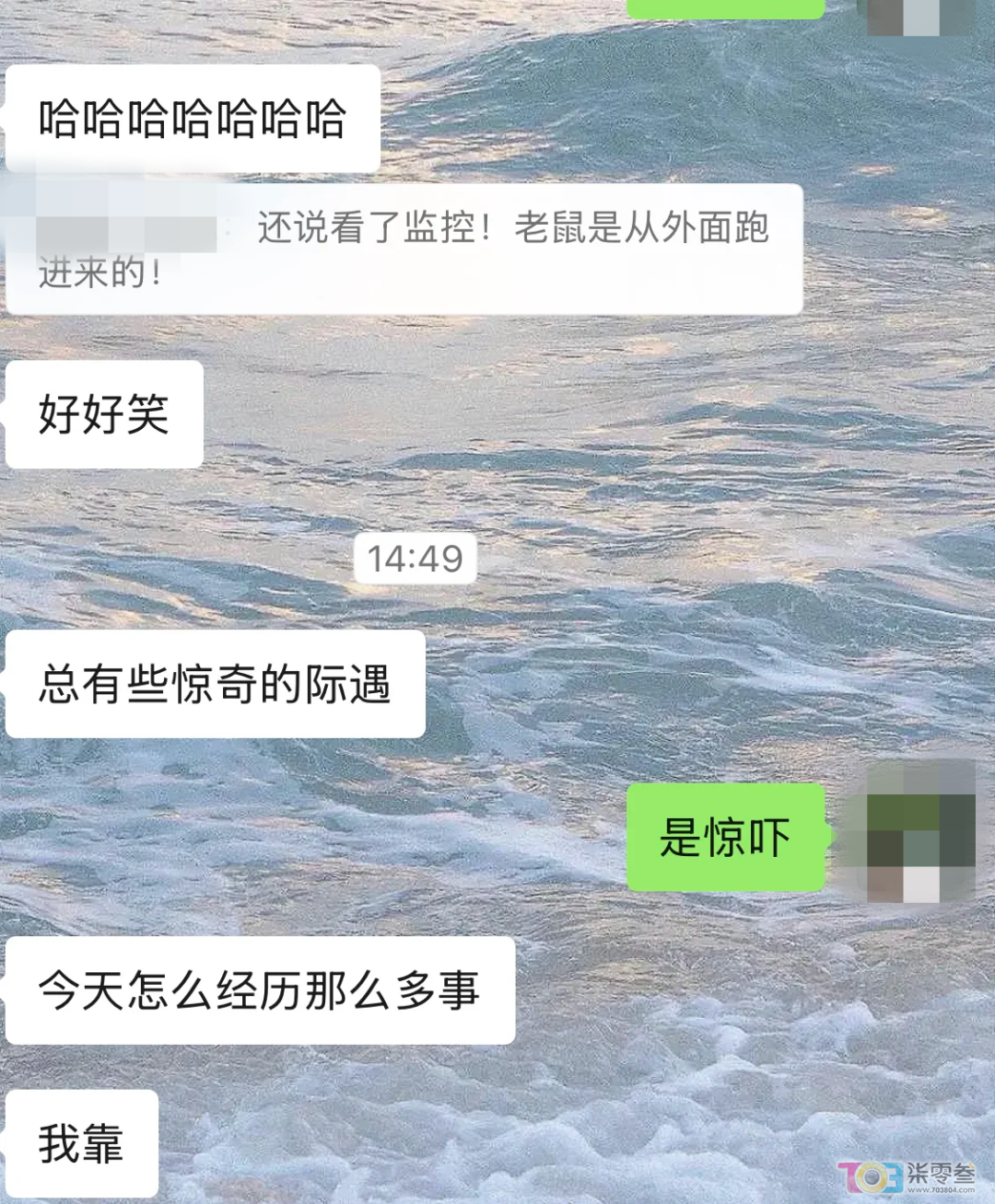 w7.jpg