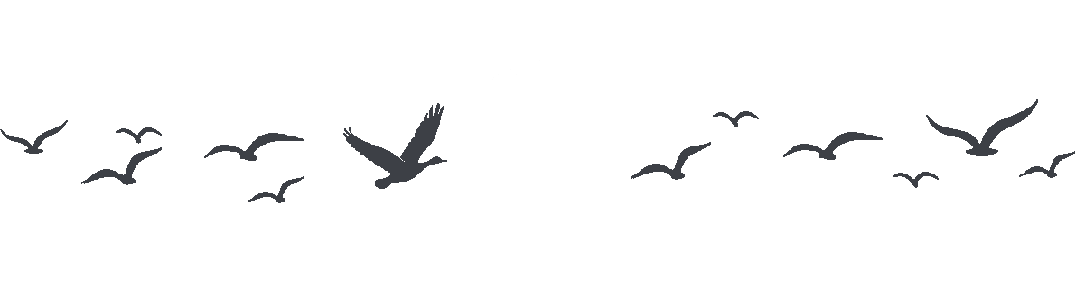 w4.jpg
