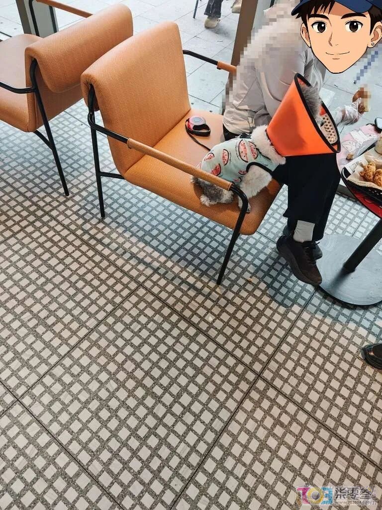 zqgJq6I0L11Iq1qR.jpg