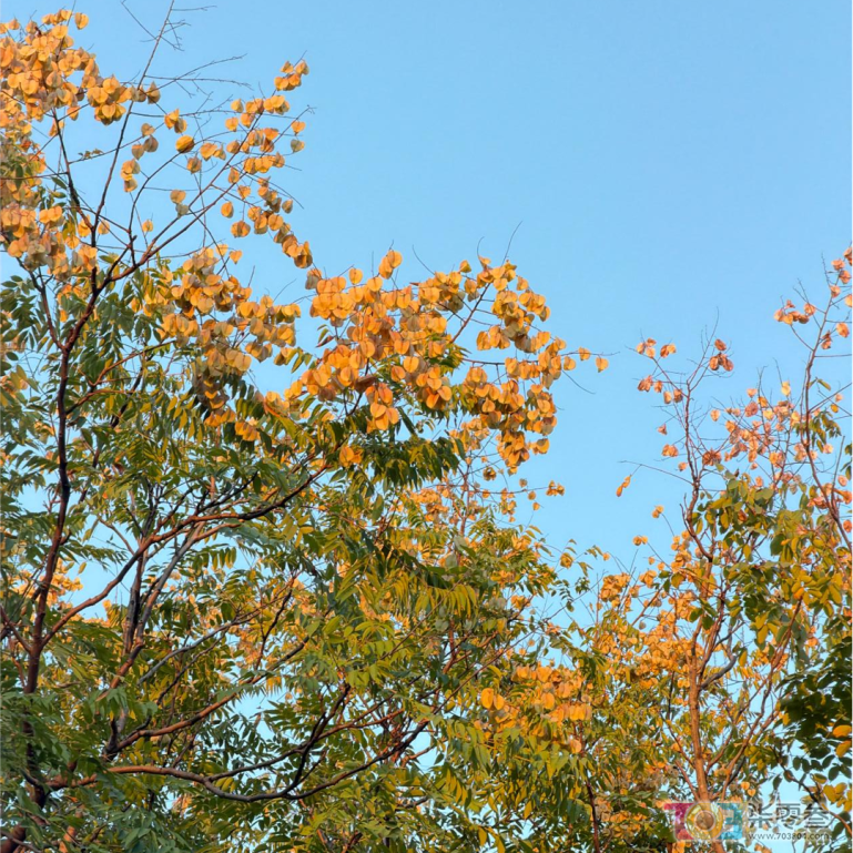 w18.jpg
