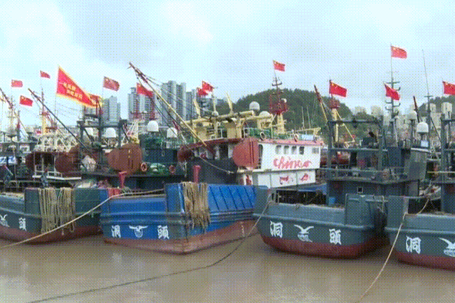 w15.jpg