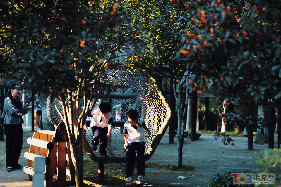 w15.jpg