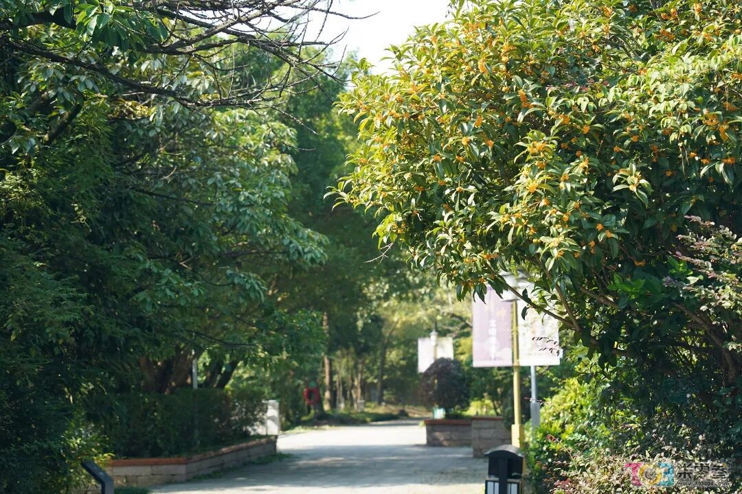 w90.jpg