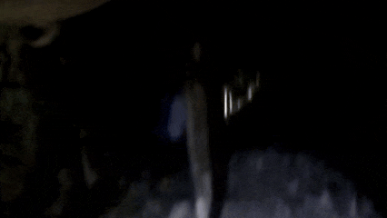 w7.jpg